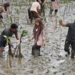 Lestarikan Alam Pantai Wisata Kresik Putih, TNI Tanam 1.000 Pohon Mangrove