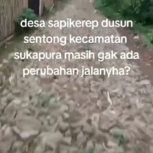 Viral Video Ungkap Jalan Makadam di Dusun Sentong yang Tak Kunjung Diperbaiki, Warga Pertanyakan Penggunaan Dana Desa