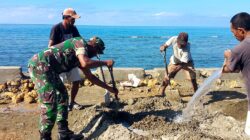 Babinsa Koramil 1512-02/Patani Praka Cristofol Kimiak dan Warga Gotong Royong Bangun Talud, Antisipasi Cuaca Ekstrim