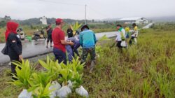 Bersinergi, MPAI My Darling dan Kodim 1009/Tanah Laut Tanam Pohon