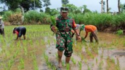 Kodim Probolinggo Siap Tingkatkan Produksi Pertanian Dalam Gerakan Antisipasi Darurat Pangan