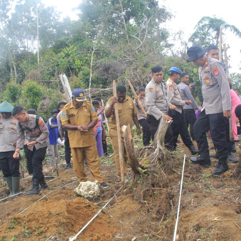 Polres Maybrat, Laksanakan Penanaman Jagung Serentak, Dukung Swasembada Pangan Indonesia 2025