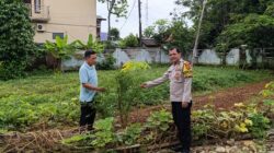 Dukung Ketahanan Pangan, Bhabinkamtibmas Polsek Cikupa, Beri Motivasi Peternak Ikan Gurame