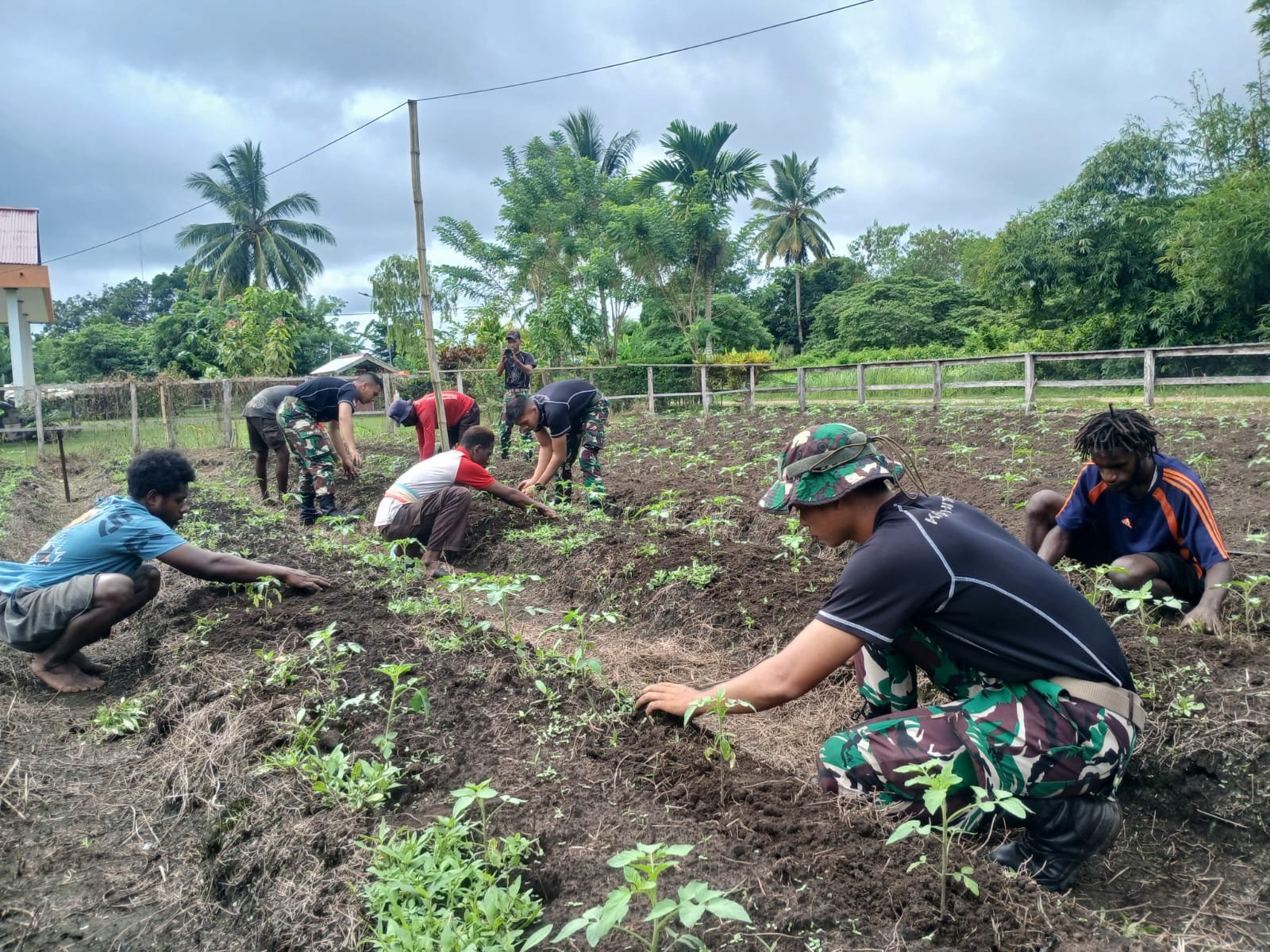 Merauke - Dalam upaya meningkatkan ketahanan pangan di wilayah perbatasan Papua, Satgas Yonif 312/Kala Hitam melaksanakan kegiatan Han Pangan bersama masyarakat di perbatasan, Senin (24/2/2025). Kegiatan tersebut bertujuan untuk membantu masyarakat dalam mengembangkan pertanian serta meningkatkan hasil panen guna mendukung kesejahteraan mereka. Kegiatan ini berlangsung dengan penuh semangat dan mendapat sambutan hangat dari warga setempat.