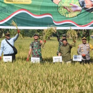 Dandim 1002/HST dan Presiden Hadiri Panen Raya Padi Nasional Dandim 1002/HST dan Presiden Hadiri Panen Raya Padi Nasional