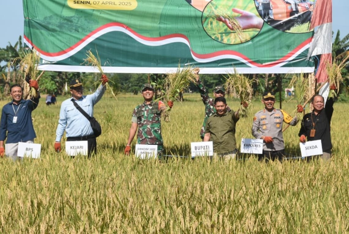 Dandim 1002/HST dan Presiden Hadiri Panen Raya Padi Nasional
