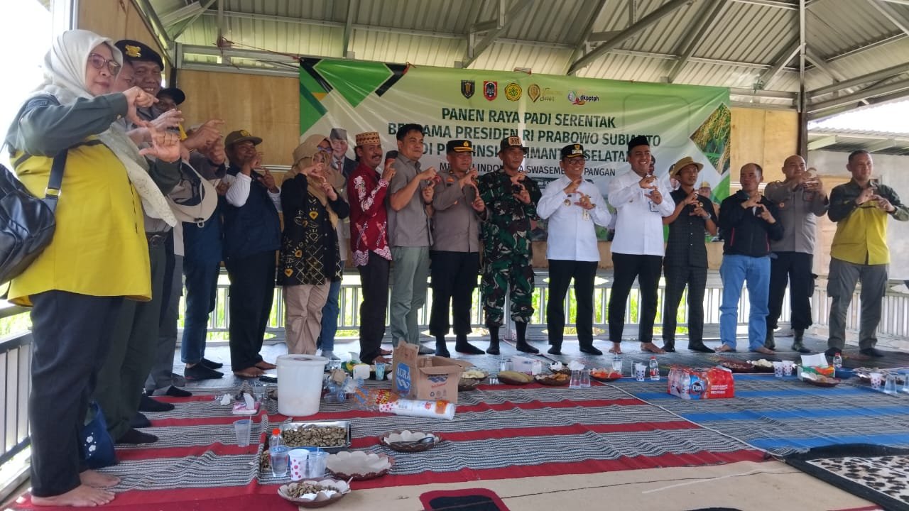 Danramil Hadiri Panen Raya Serentak di Desa Pangelak Tabalong