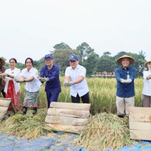Wamendagri Bima Arya Tekankan Kemandirian dan Ketahanan Pangan dalam Panen Raya di Bogor Wamendagri Bima Arya Tekankan Kemandirian dan Ketahanan Pangan dalam Panen Raya di Bogor