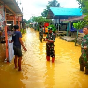 Banjir Rendam Beberapa Desa, Babinsa Koramil Loa Kulu Terjun ke Lokasi
