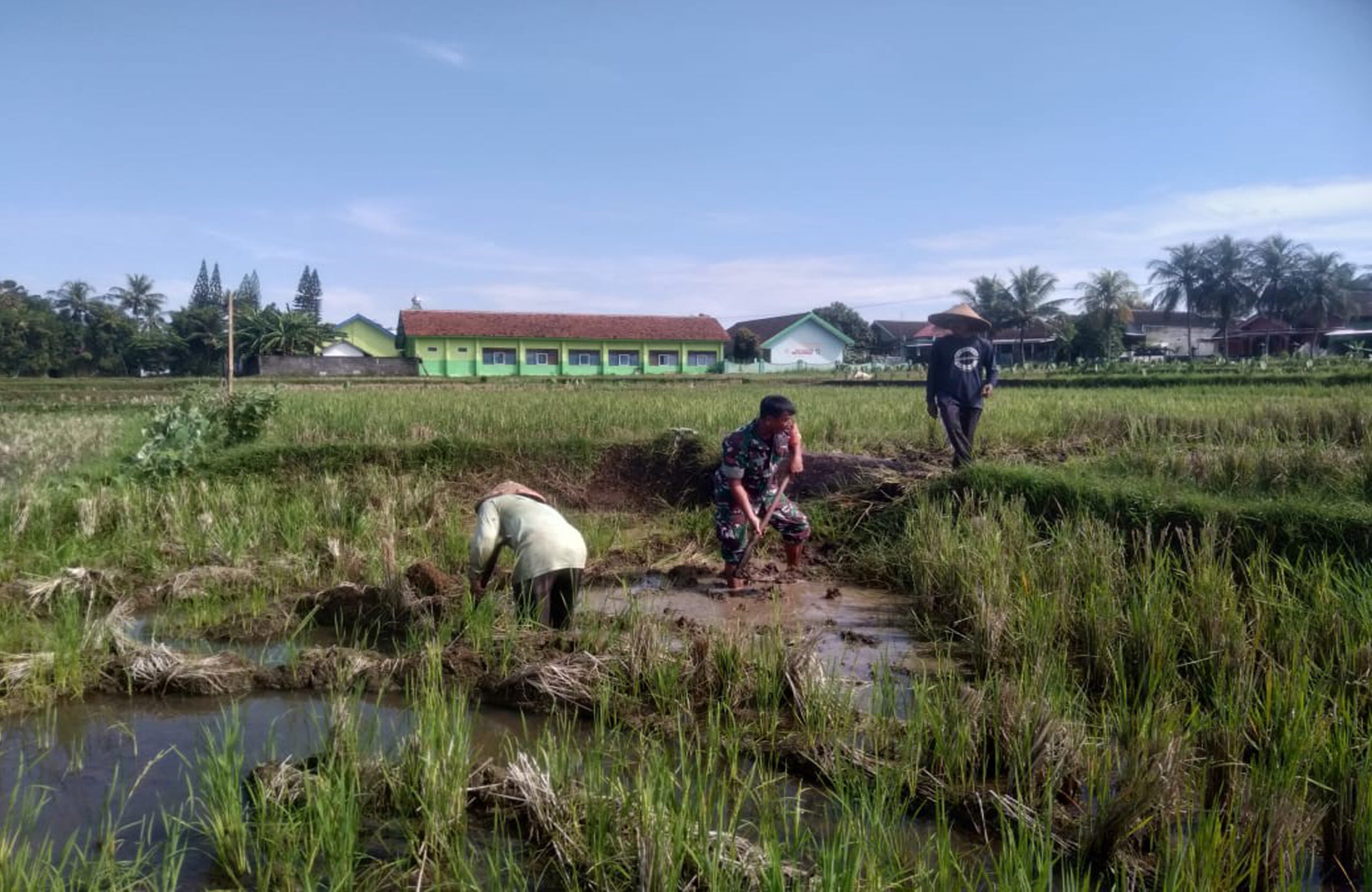 Tingkatkan Produktivitas Pertanian, Babinsa Desa Birowo Dampingi Petani Olah Lahan