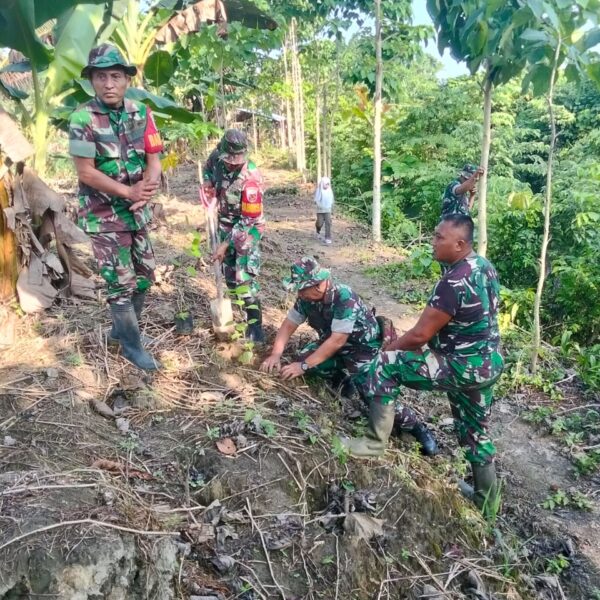 Peduli Lingkungan, TNI Tanam 700 Pohon Gmelina di Wasile Timur