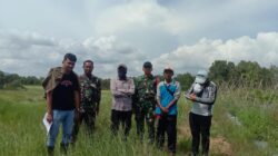 Babinsa Kodim 1009/Tla Dampingi BPP Cek Lokasi Cetak Sawah Takisung