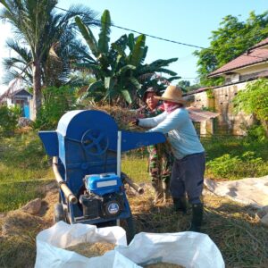 Babinsa Koramil Labuan Amas Utara Bantu Petani Perontokan Padi