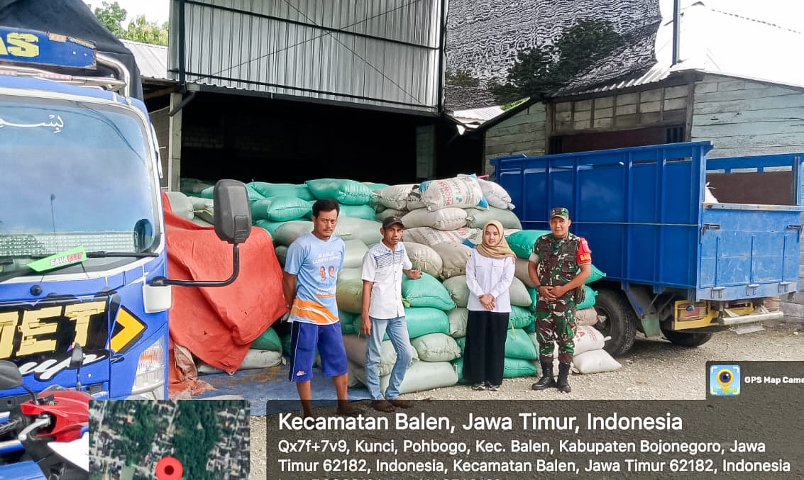 Program Sergab, Babinsa Balen Bojonegoro Kawal Distribusi 20 Ton Gabah Petani Pohbogo ke Gudang Bulog