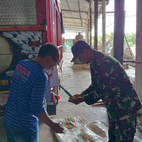 Koramil Kraksaan Kawal Program Sergap, Pastikan Gabah Petani Terserap