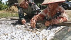 Satgas TMMD Kodim HST Bantu Nenek Jemur Ikan di Haruyan