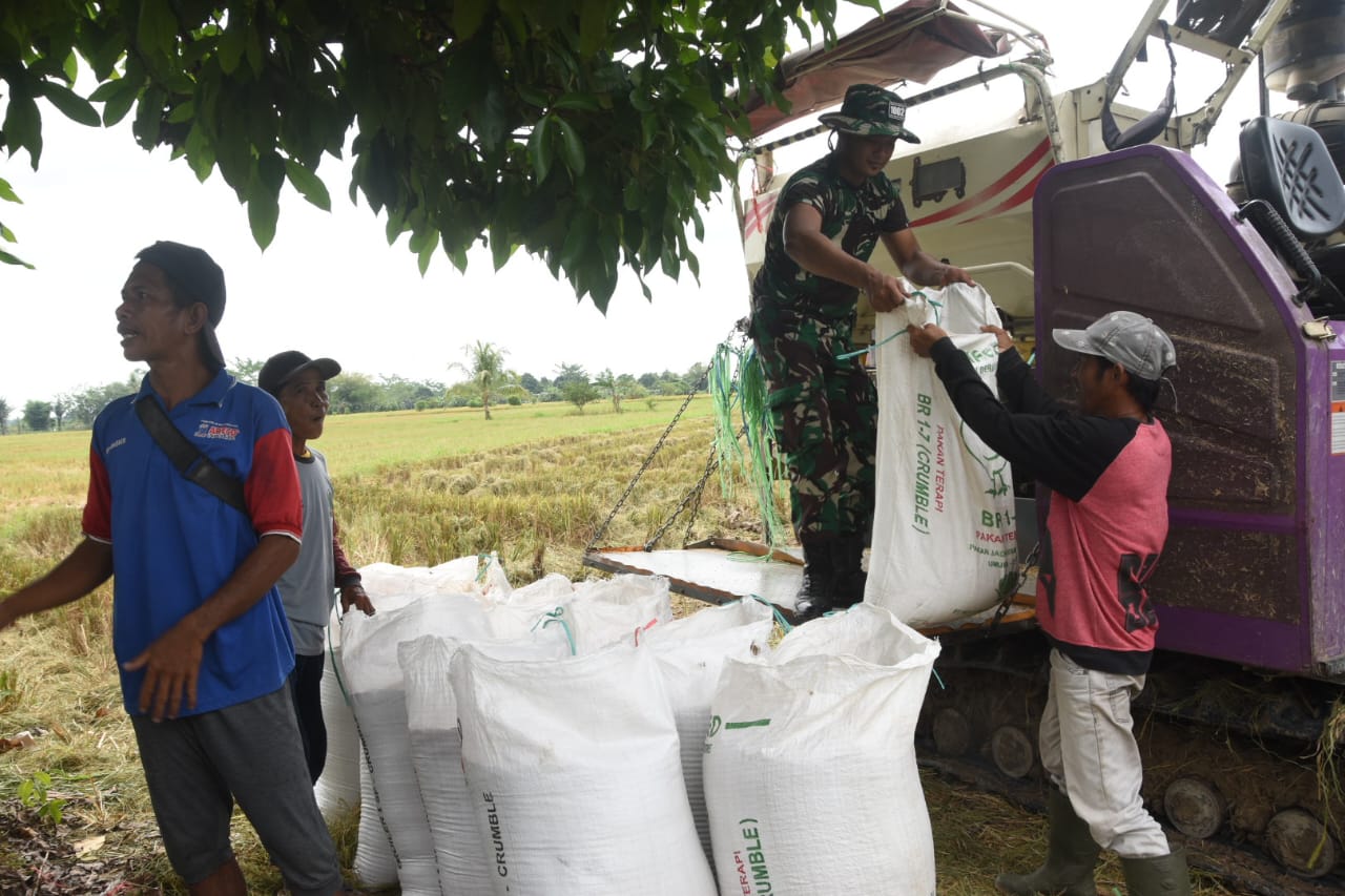 Satgas TMMD Kodim 1002/HST Bantu Petani Dukung Nawa Cita Prabowo