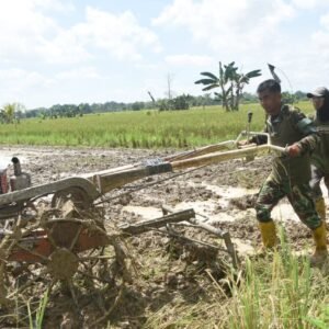 Satgas TMMD HST Bantu Warga Bajak Sawah Saat Istirahat Siang Satgas TMMD HST Bantu Warga Bajak Sawah Saat Istirahat Siang