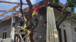 Bersama Melangkah. Gotong Royong Dalam Mewujudkan Impian Rumah Layak Huni Ibu Nursia Alhaser