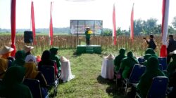 Tunjukkan Aksi Nyata Dukung Ketahanan Pangan, Persit KCK Kodim 0811/Tuban Panen Raya Jagung