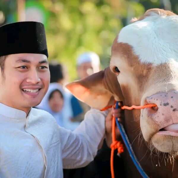 Arjuna Doser, Sapi dari Presiden Prabowo Untuk Warga Tuban
