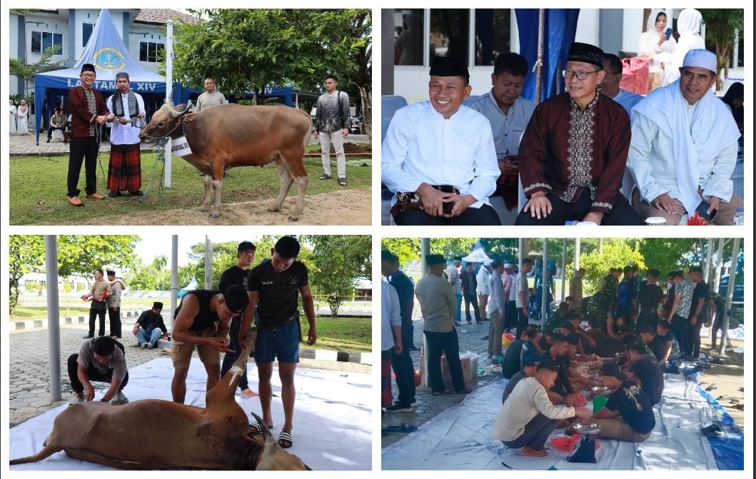 Danlantamal XIV Serahkan 4 Sapi Kurban untuk Idul Adha 1446 H