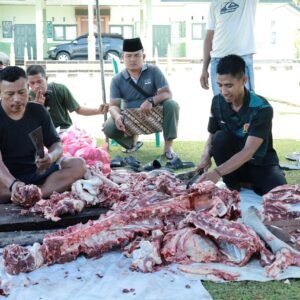 Kodim 1505 Tidore Laksanakan Penyembelihan Hewan Qurban, Salurkan Daging kepada Warga dan Prajurit Kodim 1505 Tidore Laksanakan Penyembelihan Hewan Qurban, Salurkan Daging kepada Warga dan Prajurit