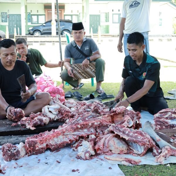 Kodim 1505 Tidore Laksanakan Penyembelihan Hewan Qurban, Salurkan Daging kepada Warga dan Prajurit