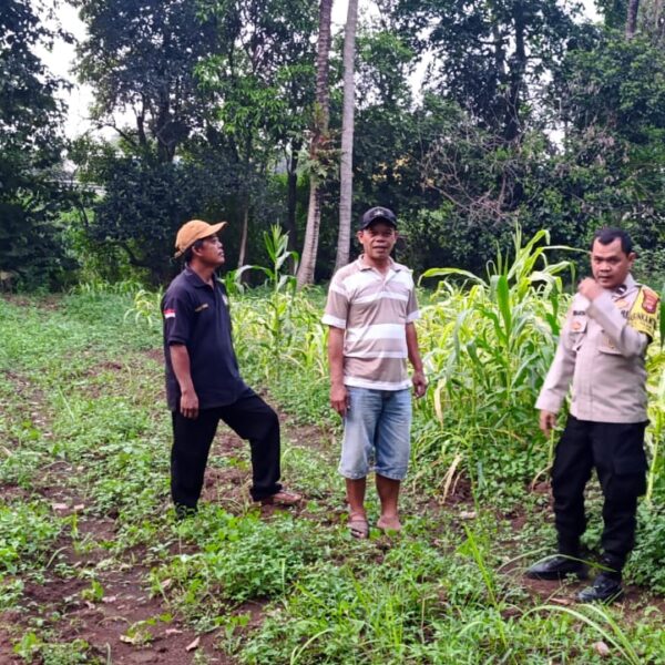 Polsek Cikupa Berperan Aktif dalam Program Ketahanan Pangan Nasional