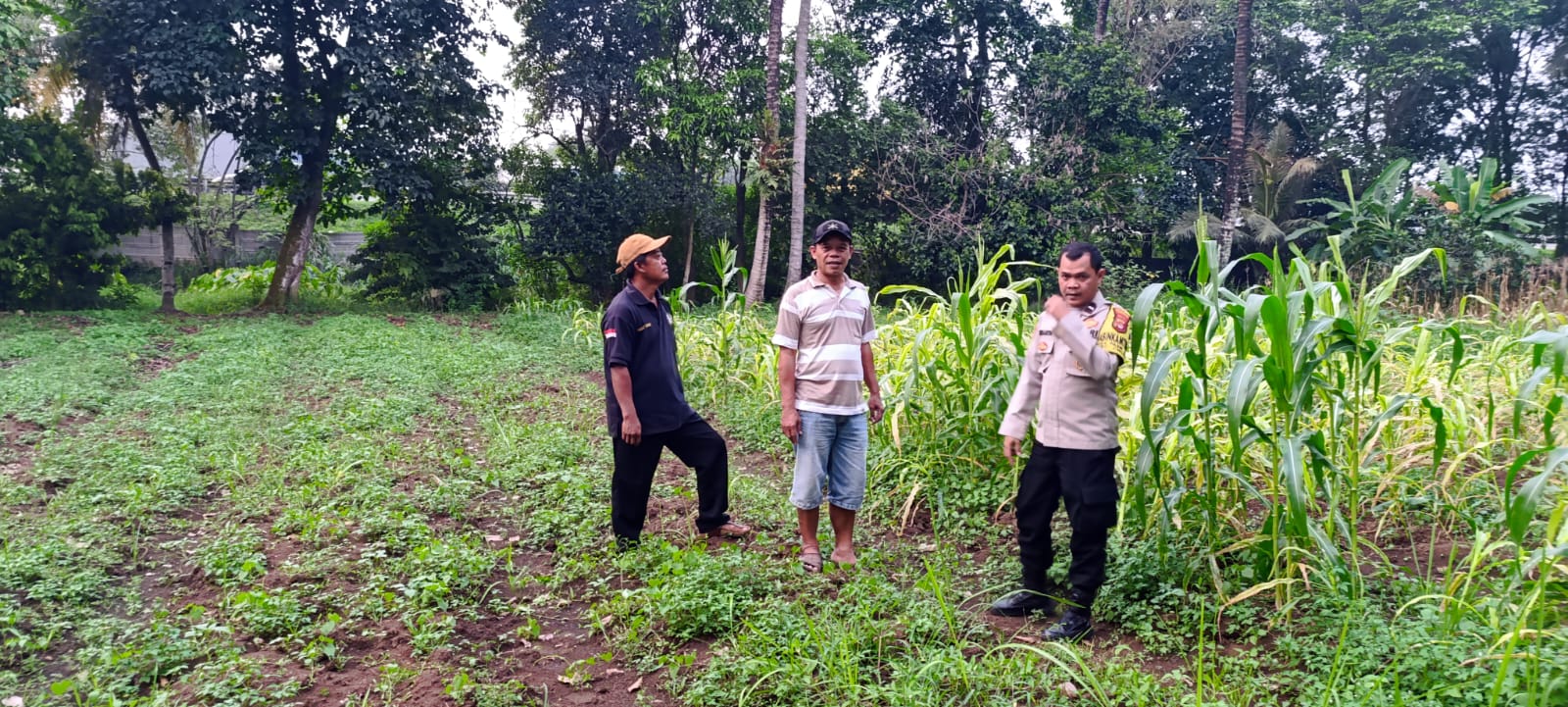 Polsek Cikupa Berperan Aktif dalam Program Ketahanan Pangan Nasional
