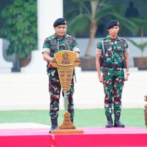 Satgas Kizi TNI Konga XX-V Monusco Kongo, Bentuk Kontribusi TNI Jaga Perdamaian Dunia