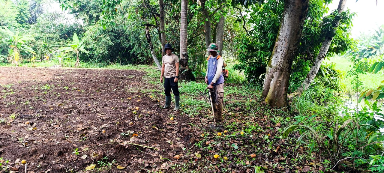Polsek Cikupa Garap Lahan Tanam Jagung di Desa Pasir Jaya