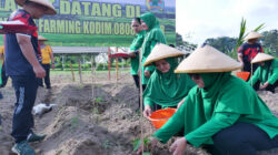 Pematangan Lahan Siap, Kodim 0808/Blitar Tanam Bibit Di Lahan Integrated Farming Desa Dandong