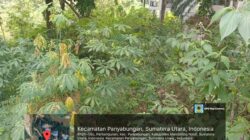 Mandailing Natal Punya Gedung ‘Tak Bertuan’, GPKN Minta Audit Aset Total