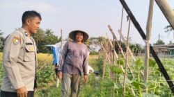 Bhabinkamtibmas Ajak Warga Manfaatkan Lahan Tidur, Dorong Ketahanan Pangan di Desa Patrasana