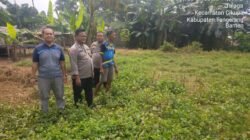 Polsek Cikupa Lakukan Pengecekan Lahan 5000 Meter untuk Program Ketahanan Pangan