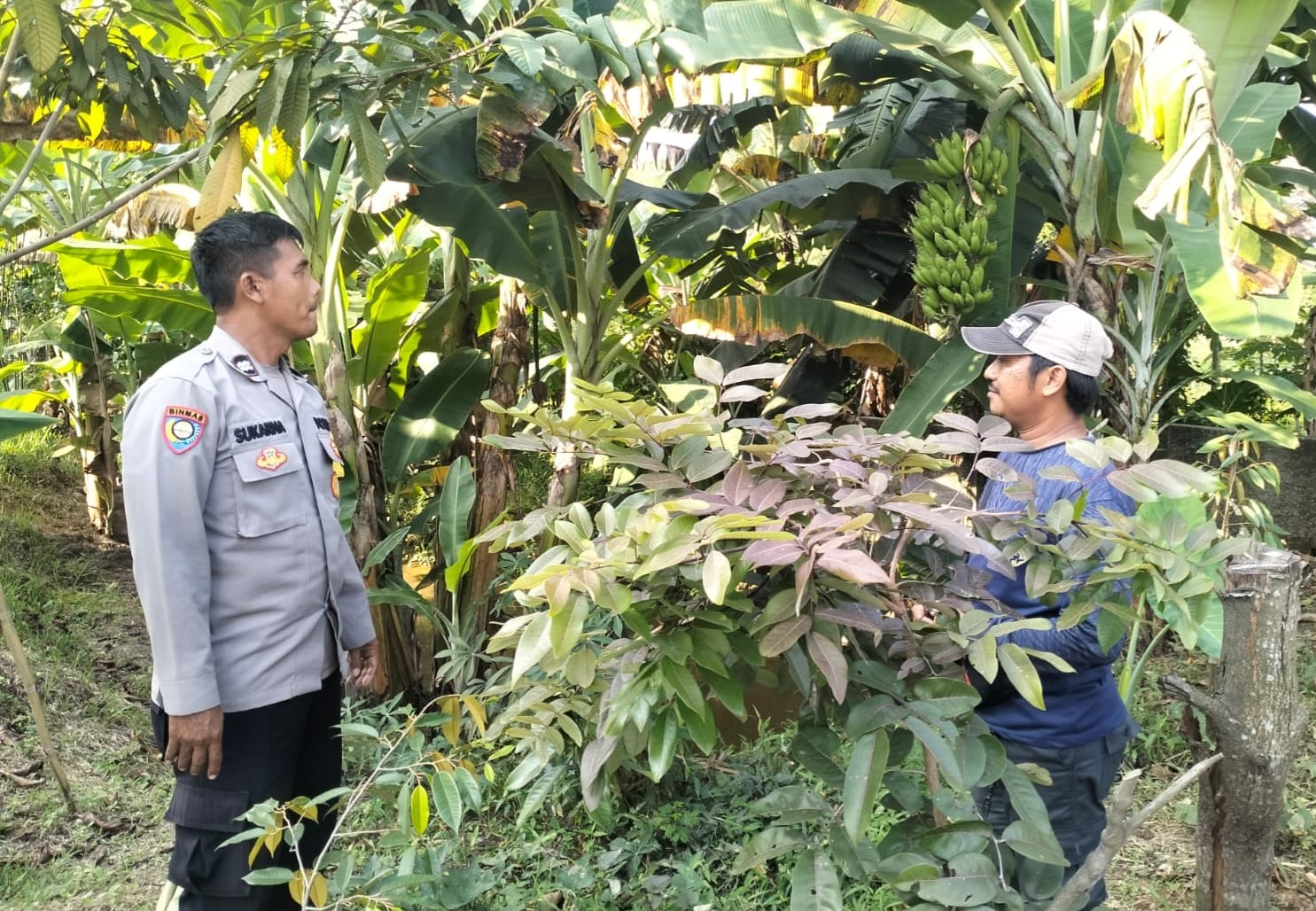 Bhabinkamtibmas Polsek Kresek Ajak Warga Desa Patrasana Manfaatkan Pekarangan Dukung Ketahanan Pangan