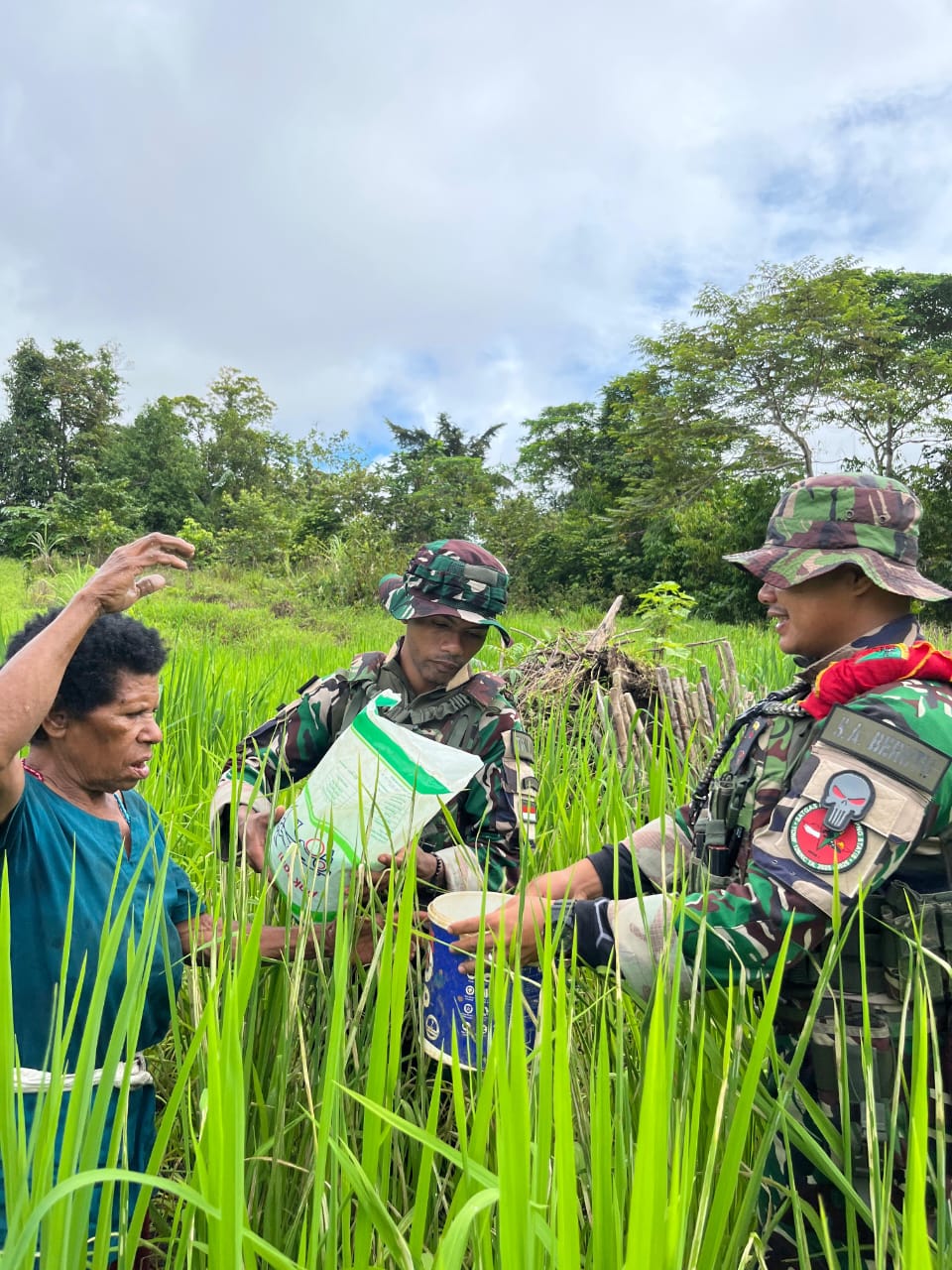 Lanjutkan Program Hanpangan Merah Putih, Satgas Yonif 126/KC Rawat Padi Gogo demi Swasembada
