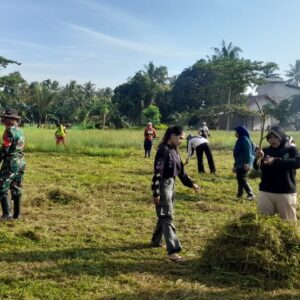 Babinsa Kerta Buana Bersama Warga Kompak Gotong Royong Bersihkan Lapangan Bola Babinsa Kerta Buana Bersama Warga Kompak Gotong Royong Bersihkan Lapangan Bola
