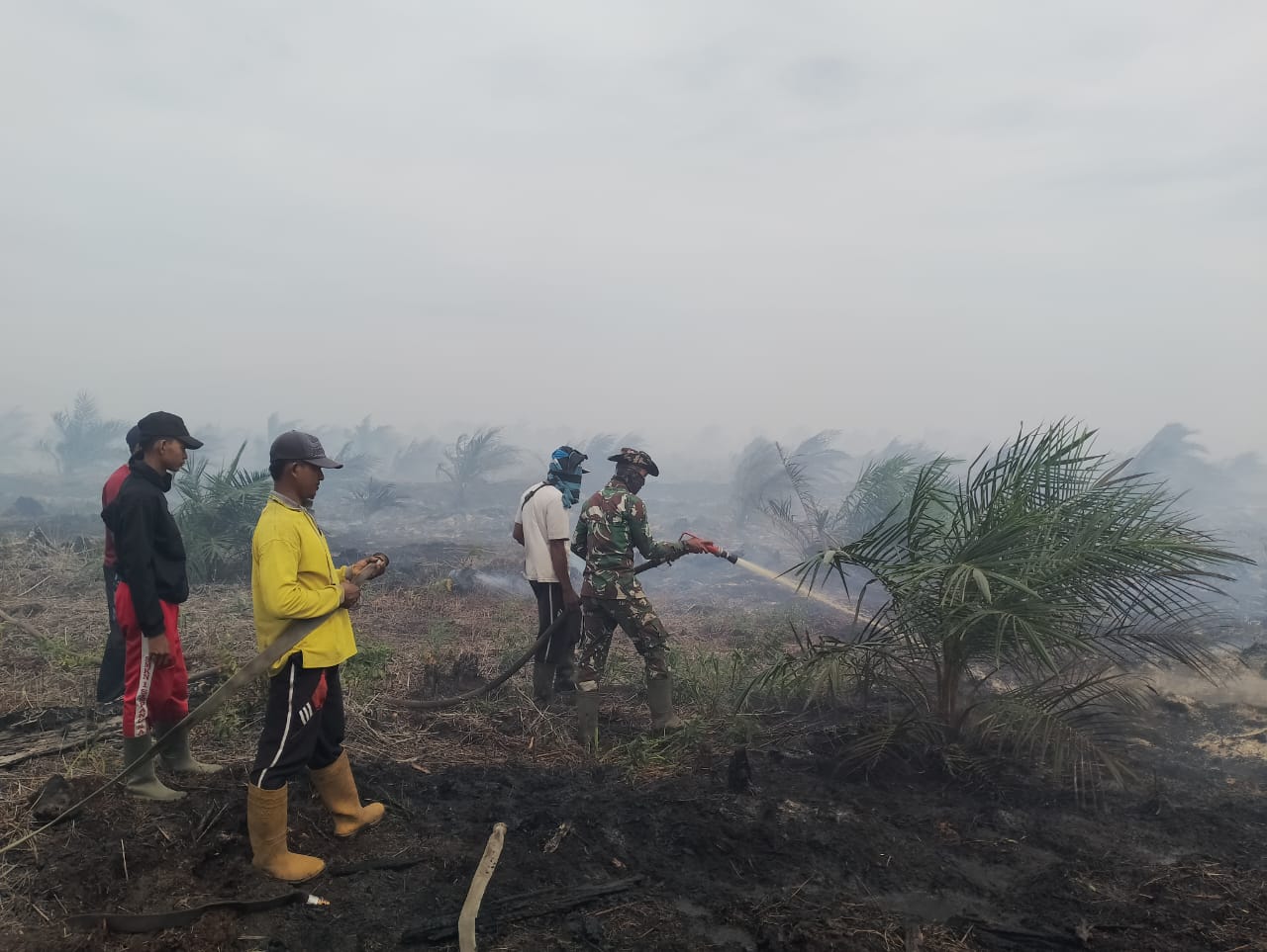 Siapkan 920 Prajurit, TNI Tegaskan Komitmen Wujudkan Riau Bebas Asap