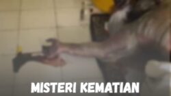 Kematian Anwar Hakim Jadi Tanda Tanya: Gepak Lampung Minta Polda Lampung Periksa PT Getmap