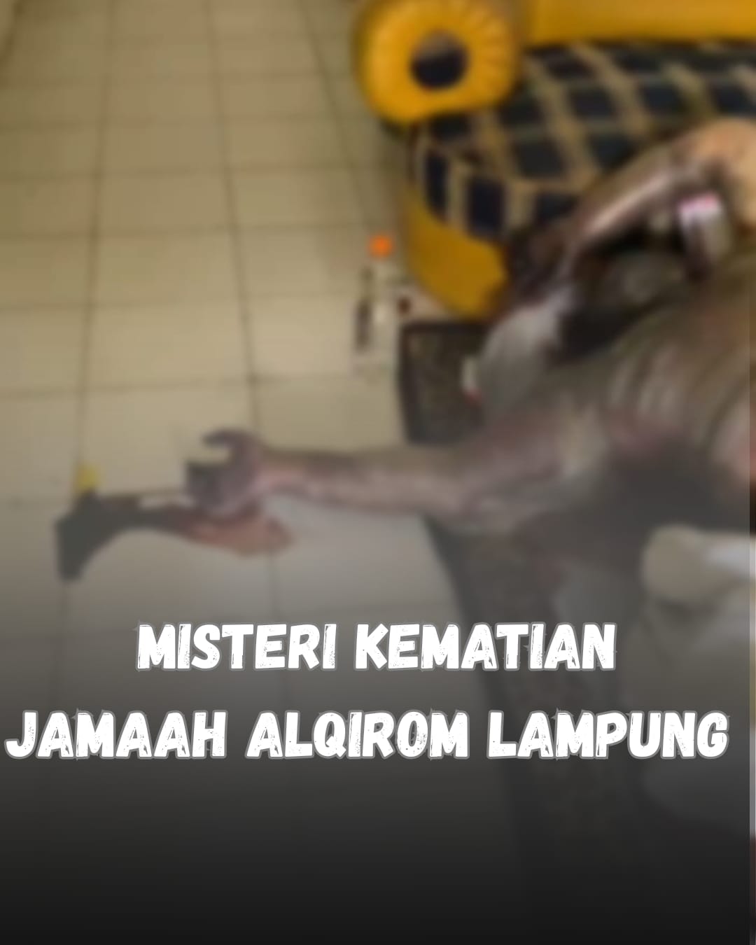 Kematian Anwar Hakim Jadi Tanda Tanya: Gepak Lampung Minta Polda Lampung Periksa PT Getmap