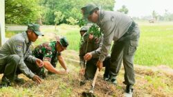 Sukseskan Program Unggulan KASAD, Satgas TMMD 125 Bojonegoro dan Warga Soko Tanam Ribuan Bibit Pohon Produktif