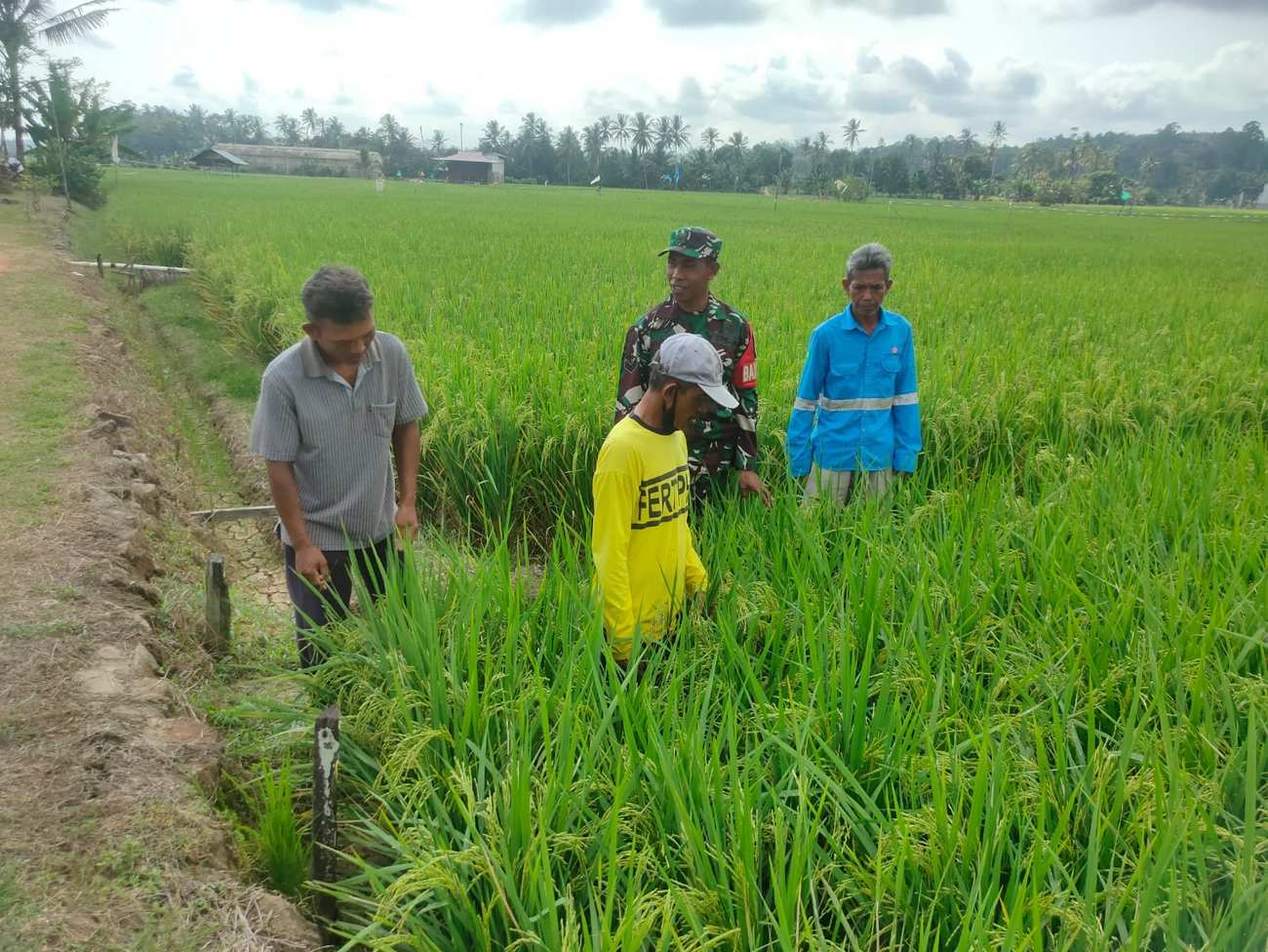 WhatsApp Image 2025 08 01 at 10.28.49