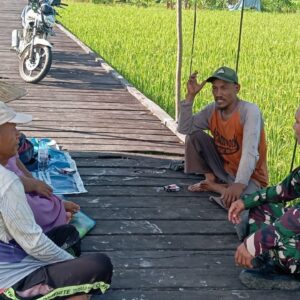 Babinsa Bersama Petani Manfaatkan Waktu Istirahat Untuk Pererat Kebersamaan Melalui Komunikasi Sosial Babinsa Bersama Petani Manfaatkan Waktu Istirahat Untuk Pererat Kebersamaan Melalui Komunikasi Sosial