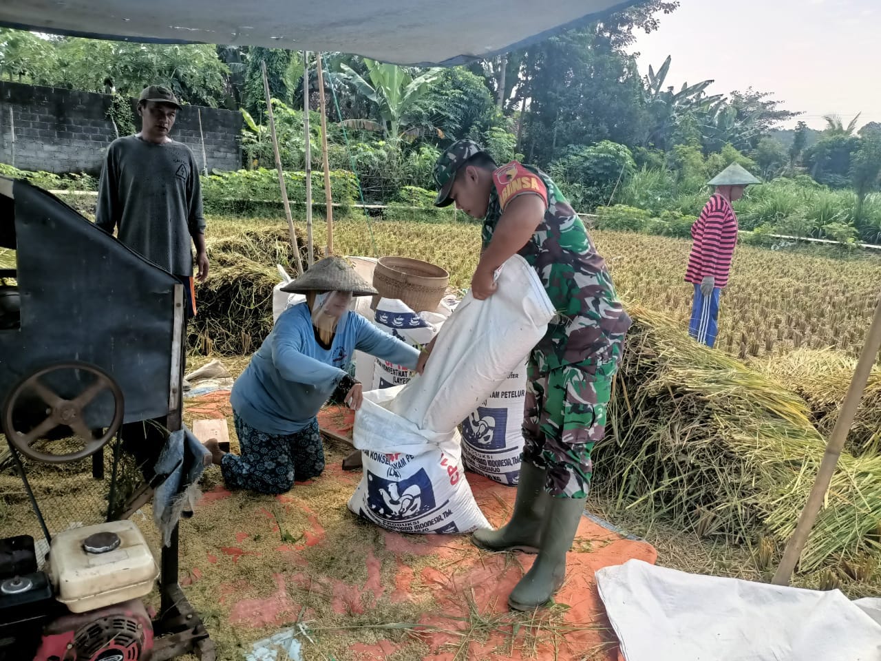 WhatsApp Image 2025 08 21 at 14.42.17