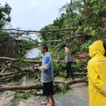Paska Longsor Polsek Limau dan Warga Bersihkan Material Kayu di Tegineneng