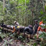 Satgas Yonif 410/ Alugoro Bersama Masyarakat Perbaiki Jembatan Rusak