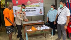 Polres Maybrat Musnahkan Ganja, Tegaskan Perang Lawan Narkoba