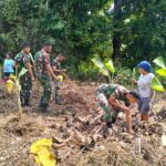 Stabilkan Ketersediaan Bahan Pokok Makanan, Satgas Yonif 410/Alugoro Bantu Warga Perbatasan RI-PNG Tanam Pisang